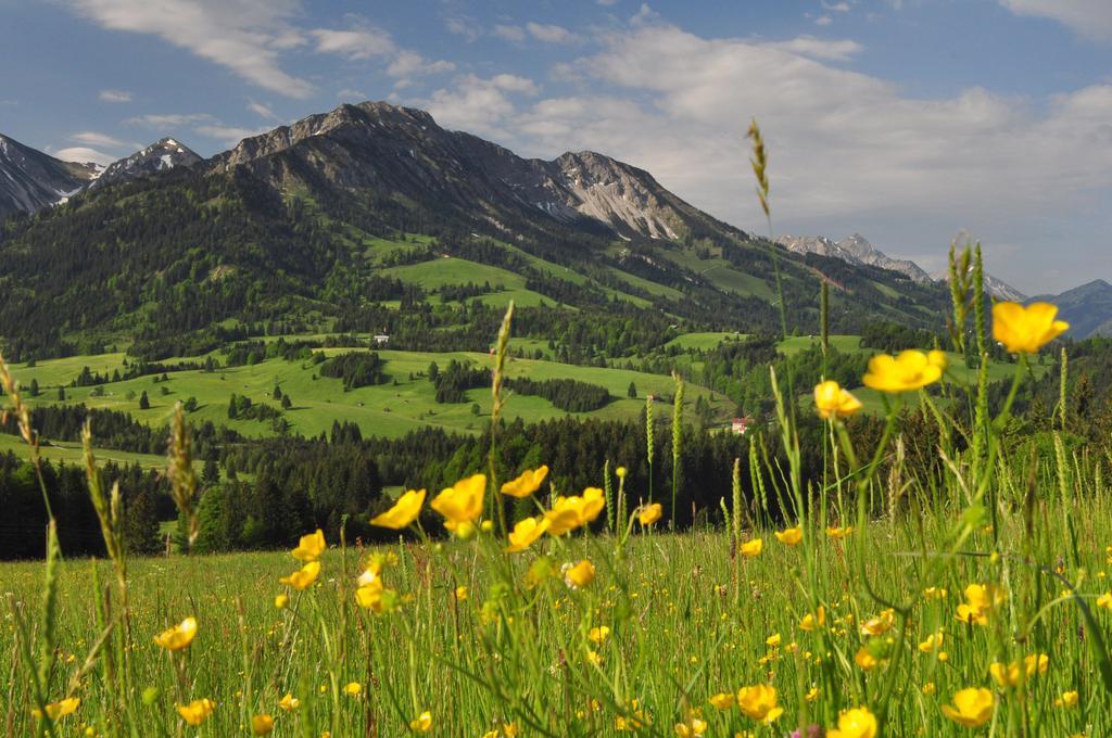 Sonnenpark, Ihr Bett Im Allgaeu باد هينديلانغ المظهر الخارجي الصورة