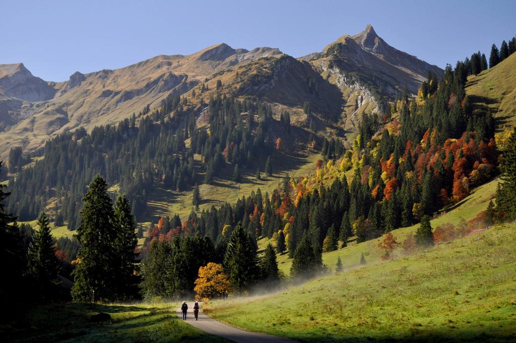 Sonnenpark, Ihr Bett Im Allgaeu باد هينديلانغ المظهر الخارجي الصورة